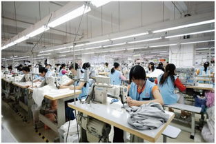 越南6月份服裝及紡織生產(chǎn)穩(wěn)步增長(zhǎng)，金屬材料銷(xiāo)售表現(xiàn)穩(wěn)健